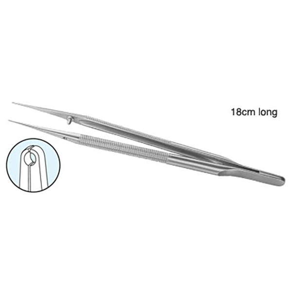 Pierse Forceps