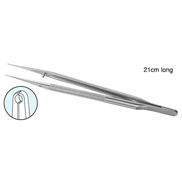 Classic Pierse Forceps