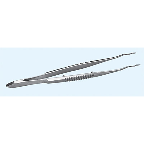 Saupe Cilia Forceps