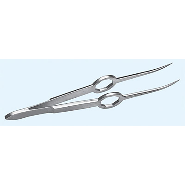 Shaaf Cilia Foreign Body Forceps