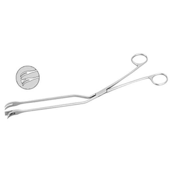 Lockwood Abdominal Demarcator