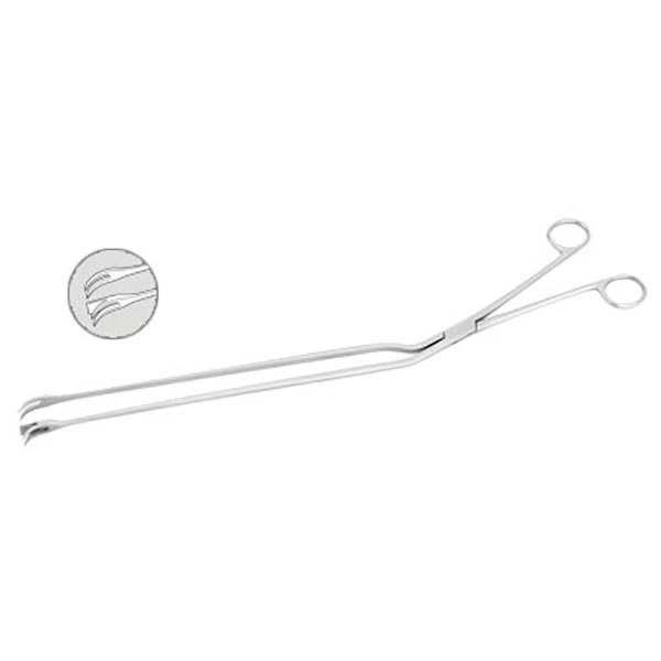 Lockwood Abdominal Demarcator