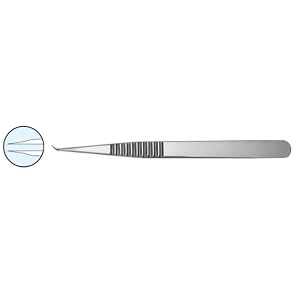 Dilator Forceps