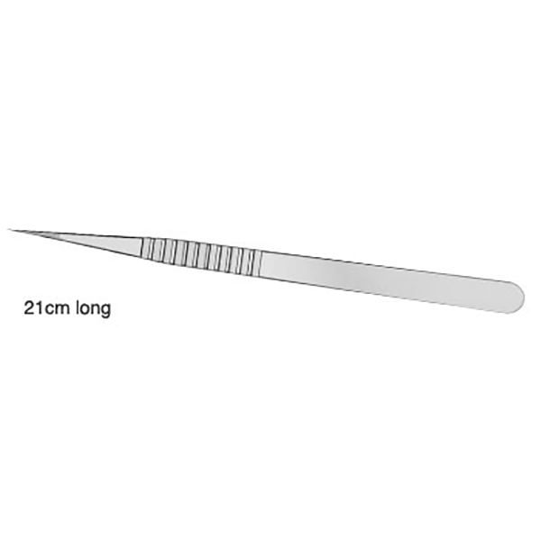 Tissue Forceps by Pierse