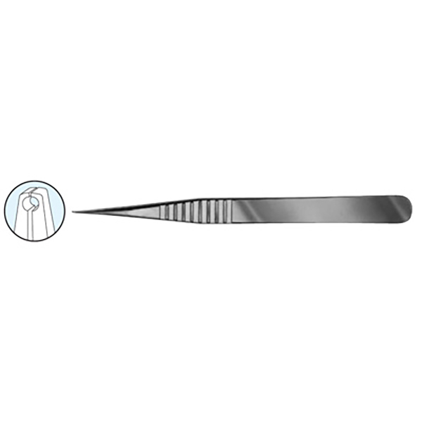 Tissue Forceps By Pierse