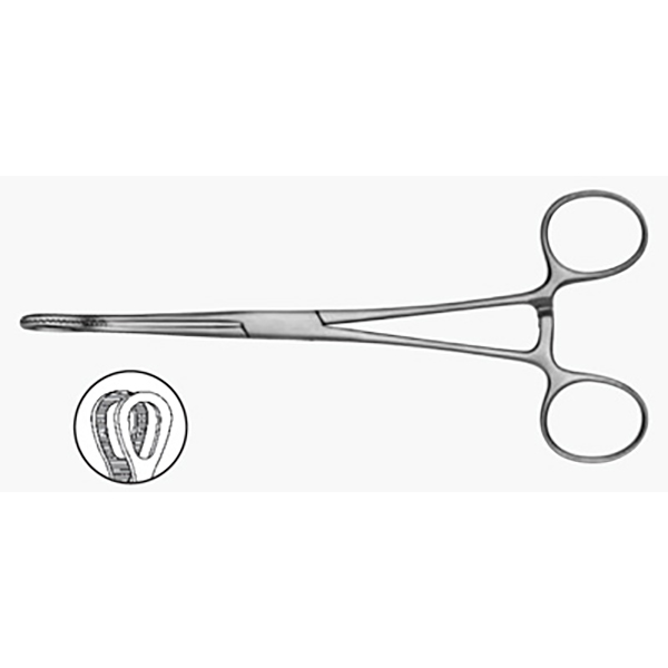 Foerster Sponge Holding Forceps
